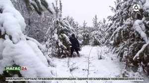 Дайджест новостей 14.12.2025 г