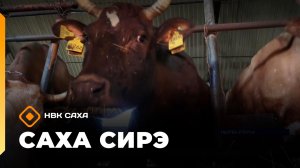 «Саха сирэ» информационнай биэрии. Ахсынньы 15 күнэ 10:00