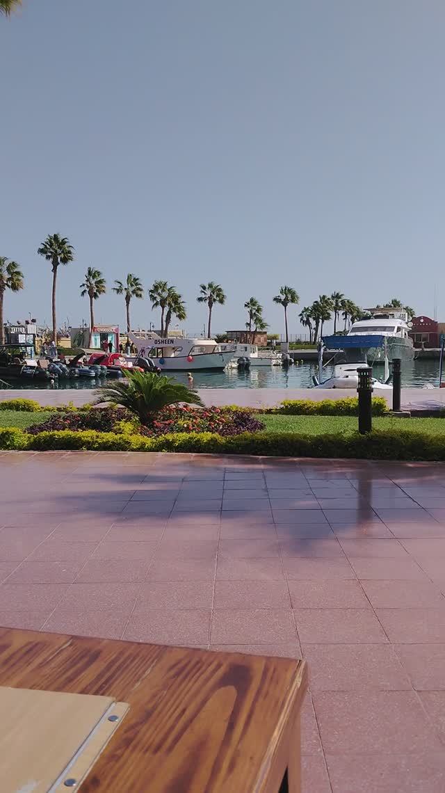 Хургада Лайф Размышления на тему погоды