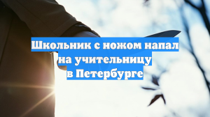 Школьник с ножом напал на учительницу в Петербурге