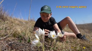 Я не хочу сидеть дома!