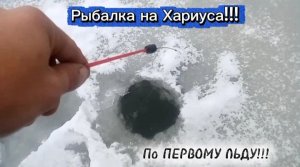 Рыбалка на Хариуса 2025!!!