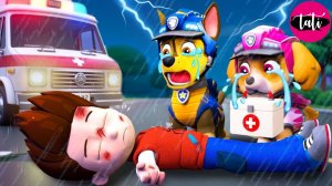 Щенячий патруль и Маршалл. Залипательное видео. Мультфильм для детей и малышей. Анимация