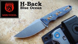 ✅ NEW VOSTEED H-BACK Blue Ocean