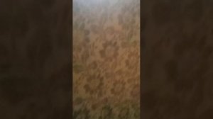 логика майн