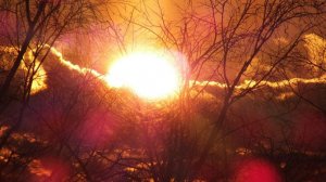 Ученые предупредили о возможных магнитных бурях 17 и 18 декабря