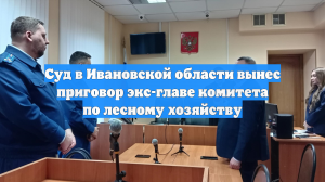 Суд в Ивановской области вынес приговор экс-главе комитета по лесному хозяйству