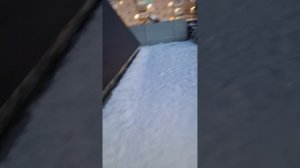 1000042520.mp4 (Собака наблюдает за лайфхаками при строительстве дома А-фрейм)