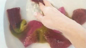 Образец из Форза Фестиваль 15 декабря 2025 г.