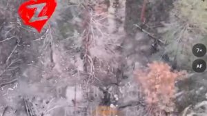 🇺🇦ВСУшники сдались в плен российским бойцам…🇷🇺