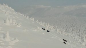 Пропавшие в Пермском крае туристы найдены живыми и здоровыми