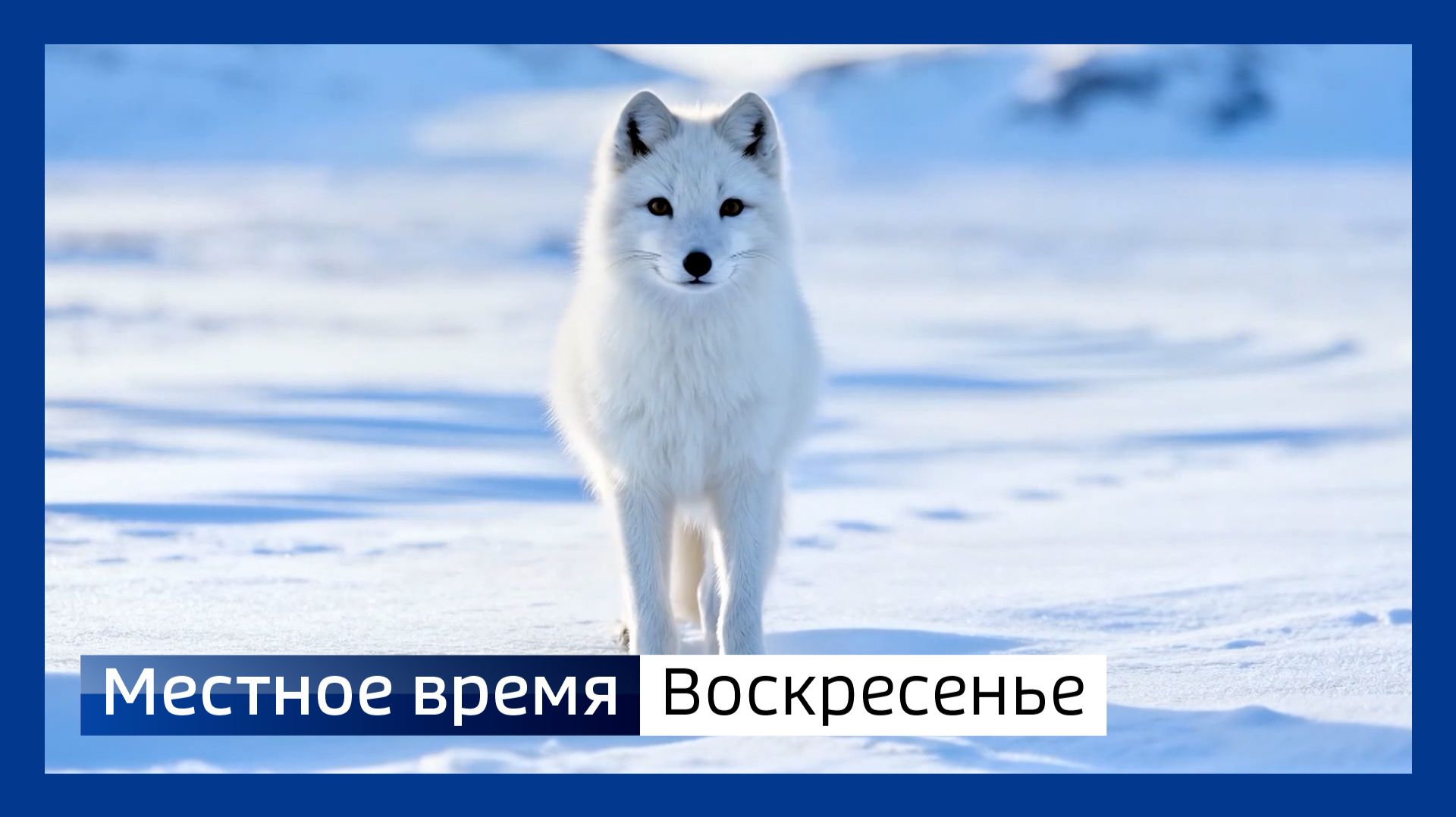 Местное время. Воскресенье от 14.12.2025 смотреть онлайн