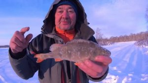 Первый лед Чепца.Волки и жесткая дорога.