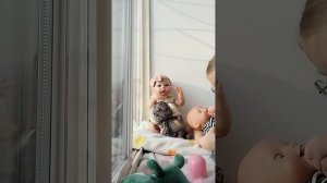 VID_20251215_140111.mp4