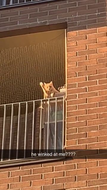 Хэй, здарова!