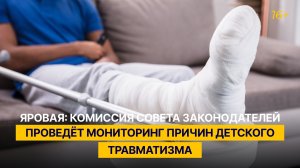 Яровая: комиссия Совета законодателей проведёт мониторинг причин детского травматизма