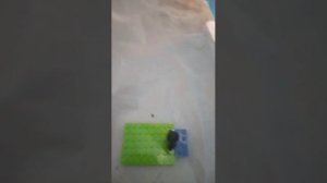 все стоп муж анимации которые были