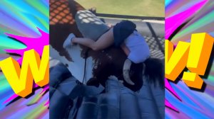 "СМЕХ И ВЕСЕЛЬЕ: СМЕШНЫЕ ВИДЕО И ЛУЧШИЕ ПРИКОЛЫ"