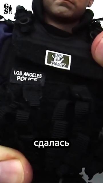 Как спецназ SWAT родился из хаоса смотреть онлайн