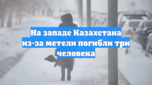 «Казинформ»: в Казахстане из-за метели погибли три человека
