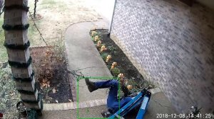 Самые смешные новогодние неудачи