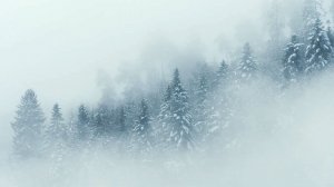 𝐋𝐔𝐍𝐀𝐑𝐈𝐀 𝐑𝐚𝐝𝐢𝐨 𝐌𝐢𝐱 /vol.17 2025/