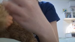 влог с реборном Сарой По звонку с Евой (ЛП)