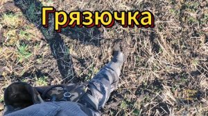 Приборный поиск. Грязючка.