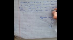 Как я создавал свой дневник / Дневник наблюдений 1