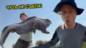 ✅Шок 😱 Ловим рыбу в болоте тайскими дедовскими методами ☠️🐟