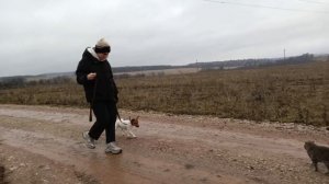 Почему нужно обучать собаку у нас?

С нами можно связаться по  
тел. +79649601600