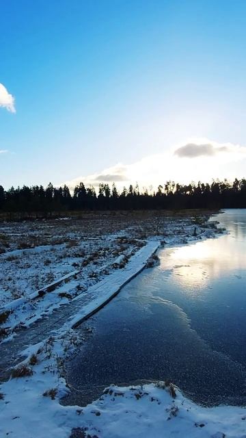 Звенигородская биостанция МГУ и карьер Сима    discovery travel russia тундра like мгу