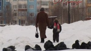 "МИМОХОДОМ", 15 декабря 2009 год. Автор проекта О. Дзиов