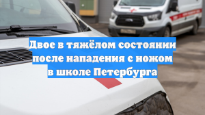 Двое в тяжёлом состоянии после нападения с ножом в школе Петербурга