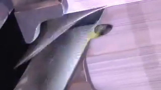 Подборочная линия Sprinter