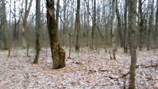 Городская роща Ефремов 2 часть смотреть онлайн