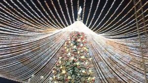 Новогодняя центральная ёлка. Декабрь 2025 г. г. Тула.