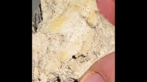 Привет из прошлого