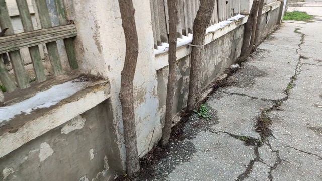 Один из дней города Евпатории | 8 февраля 2021 год  Крым | ХАН БАТОН XAH 6ATOH | VID_20210208_133936