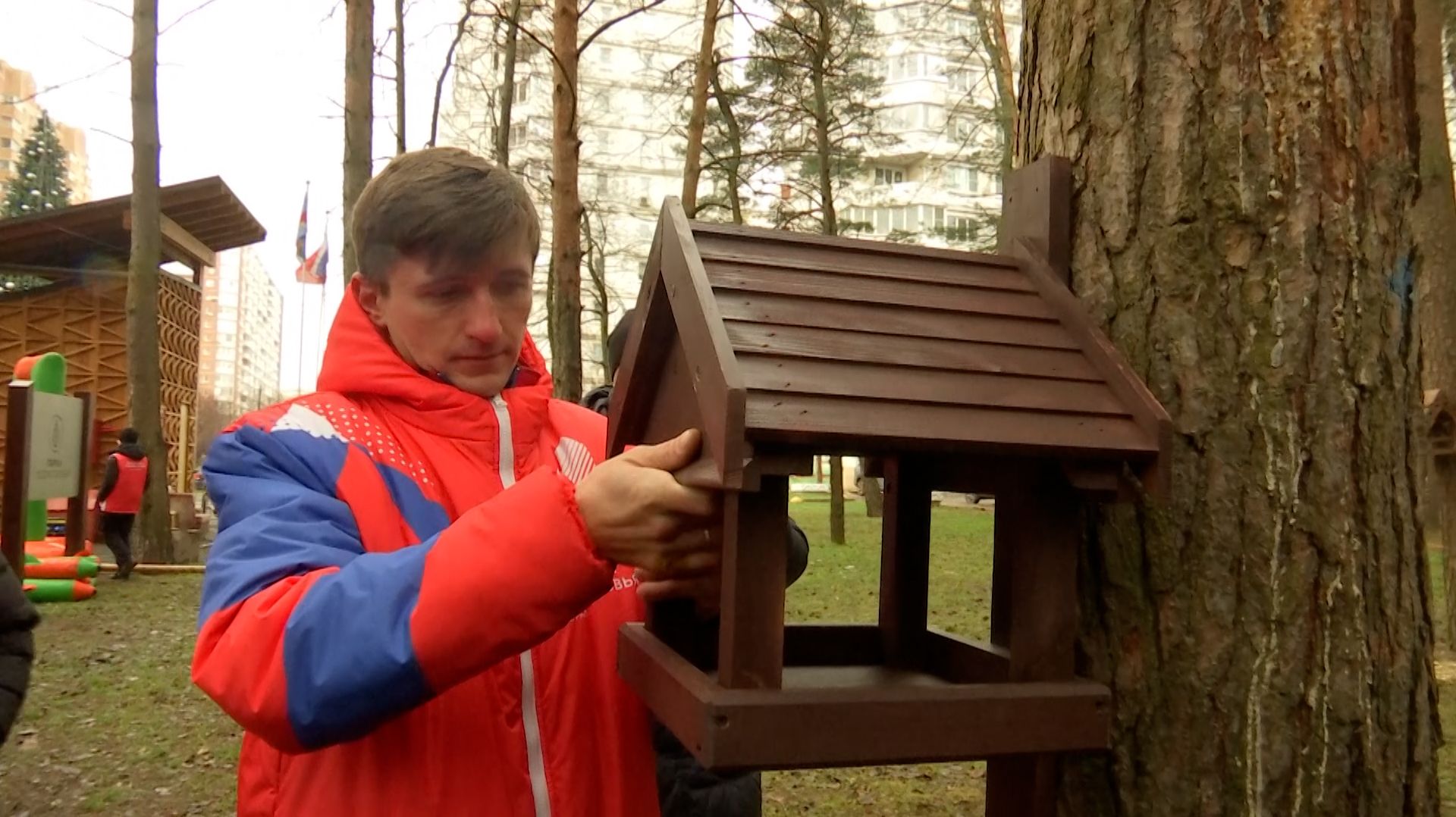 Зимняя забота о птицах и белках смотреть онлайн