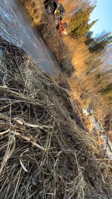 Не повезло Антохе смотреть онлайн