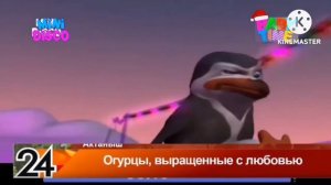 Мини Диско с новогодних логотипом (Baby Time, 15.12.2025 11:30)