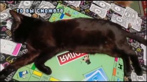 А вы умеете играть в игру Монополия?🐈⬛Смотрите внимательно,кот Чуча вас научит!