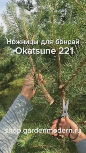 Ножницы для бонсай Okatsune 221