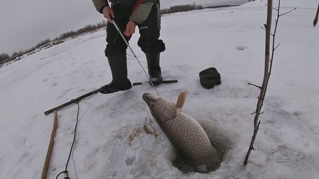 Жерлицы проверка 5. 2024 год. Первый лед. смотреть онлайн