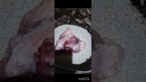 Взял щенка Алабая