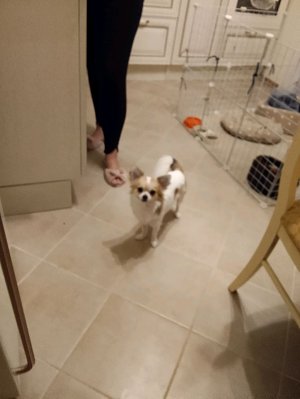 10 отсылок на сериал!