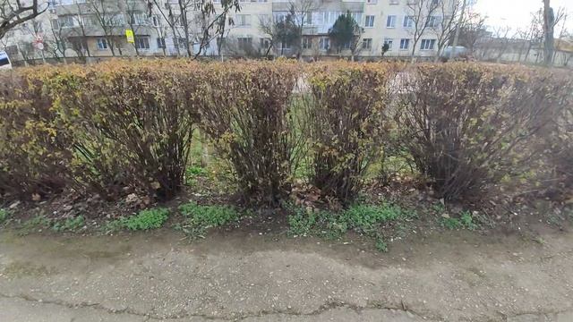 Один из дней города Евпатории | 5 февраля 2021 год  Крым | ХАН БАТОН XAH 6ATOH | VID_20210205_140919