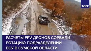 Расчеты FPV-дронов сорвали ротацию подразделений ВСУ в Сумской области