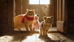 Как котики старый дом навестили